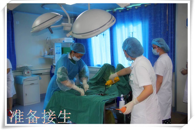 准备接生.jpg