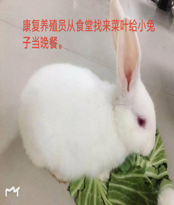 图片003.png