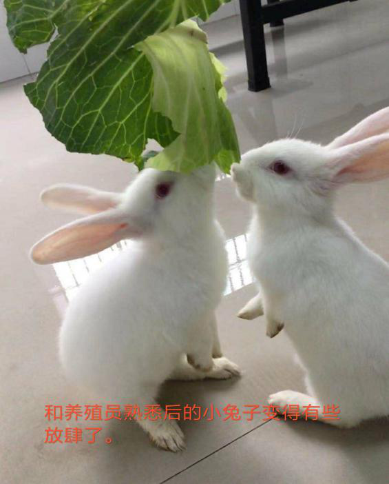 图片004.png