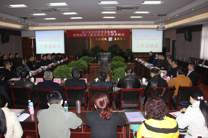 贯彻实施《精神卫生福利机构基本规范》工作总结会在南充市身心医院举行